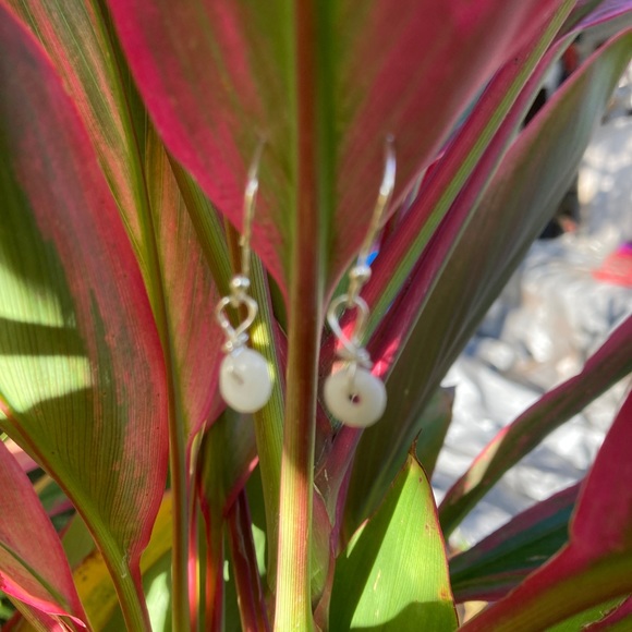 Authentic Hawaiian Puka shell earrings - Picture 6 of 6